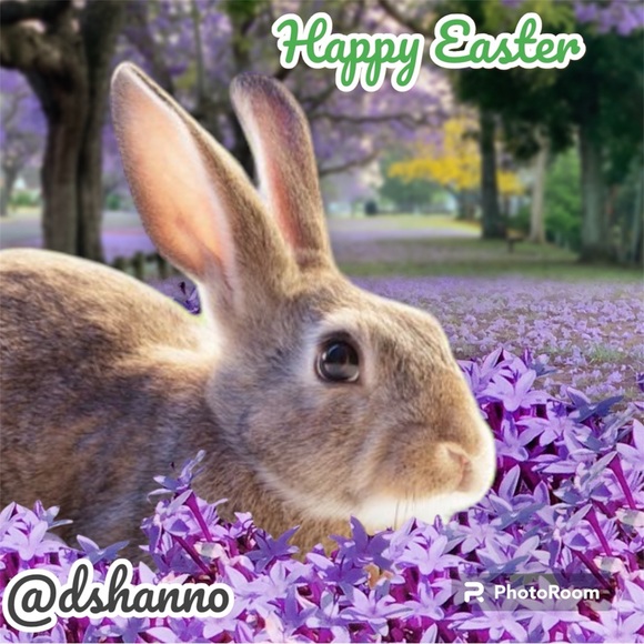 Happy Easter